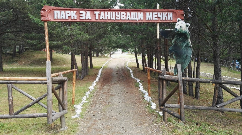 Парк Танцуващи мечки - водещо изображение